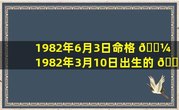 1982年6月3日命格 🌼 「1982年3月10日出生的 🐎 人什么命」